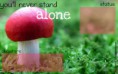 /album/premade-layouts/mushroom-jpg1/